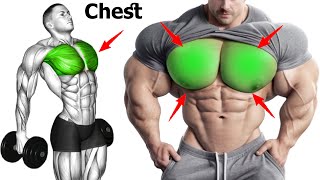 The Best Chest Workout for Building your Muscles [upl. by Docila]