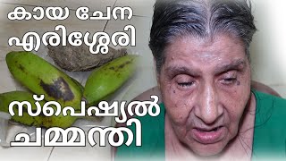 കായ ചേന എരിശ്ശേരി പിന്നെ സ്പെഷ്യൽ ചമ്മന്തി ഊണിന് Special Chammanthy erissery making malayalam [upl. by Wyler209]