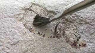 ASMR  Excavation Kit Fossil  No Talking Brushing Scratching [upl. by Okramed]