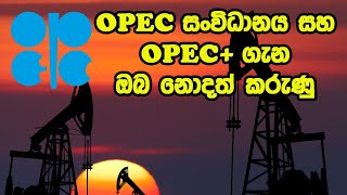 ඔපෙක් OPEC සංවිධානය  OPEC and OPEC   Fuel Price [upl. by Eesdnil645]