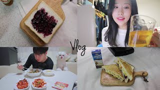 ENG SUBVlog레몬밤티 먹고샌드위치 만들고파스타 만드는 크리스마스 이브 일상 [upl. by Faubert350]