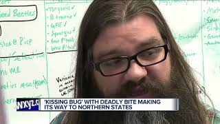 Bloodsucking kissing bug that usually bites people on the face found in Delaware for first time [upl. by Canada]