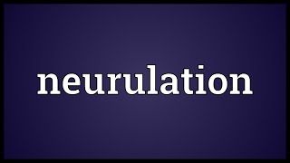 Neurulation Meaning [upl. by Culhert]