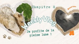 Une bonne nouvelle pour Nausicaa  8 WEEKLY VLOG S2 [upl. by Ahgem]