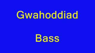 Gwahoddiad bass [upl. by Aivataj]