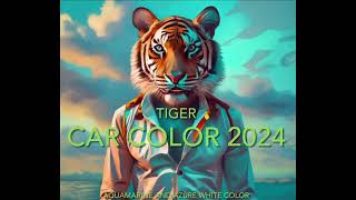 Tiger Lucky car color 2024 [upl. by Lubbi27]