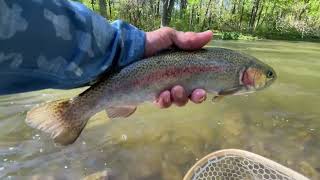 Fishing For Stocked Rainbow Trout PEQUEST RIVER NJ [upl. by Alon]