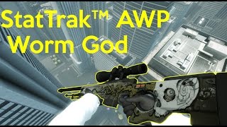 StatTrak™ AWP  Worm God Showcase [upl. by Eurd]