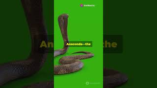 Titanoboa vs Vasuki Indicus  Fact vs Reality [upl. by Ahsem249]