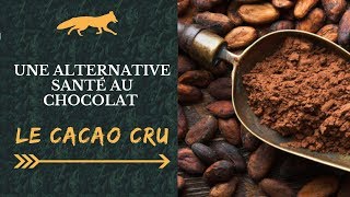 CACAO CRU  Bienfaits et Composition  Comment les consommer [upl. by Sheply390]