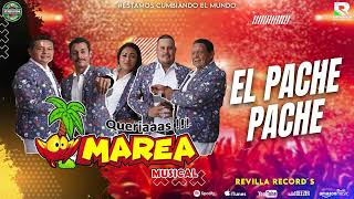 EL PACHE PACHE  MAREA MUSICAL cancion viral PASHEPASHE PachePache [upl. by Paluas]