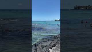 Kahalu’u snorkeling big island Hawaii [upl. by Oiramd]