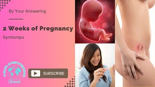 Early Signs of Pregnancy 2 Weeks Pregnancy Symptoms Explained [upl. by Tioneb779]