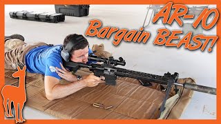 Palmetto State Armory AR10 Review 💲 Best Budget AR10  PSA PA10 Gen 3 [upl. by Brodsky]