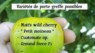 Comment greffer des tomates  greffe de tomate partie 1 [upl. by Anelet]