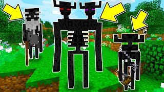 Minecraft ITA  La FAMIGLIA degli Enderman [upl. by Daph]