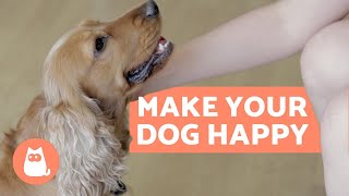 How to Make Your DOG HAPPIER  10 Key Tips [upl. by Connor]