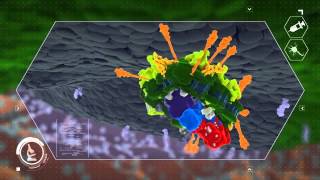 Botulinum Neurotoxin Mechanism of Action [upl. by Anoyk]