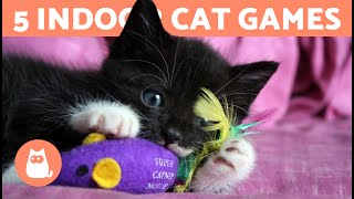 5 GAMES to ENTERTAIN Your CAT at HOME 🐱 [upl. by Dalt]