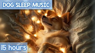 SUPERRELAXING Cozy Anxiety Relief Music for Dogs NEW 2024 [upl. by Etterrag]