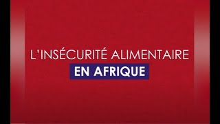 Léconomie africaine 2023  Linsécurité alimentaire en Afrique [upl. by Gerstein]