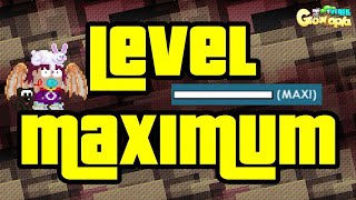 Maximum Level Growtopia [upl. by Anin389]