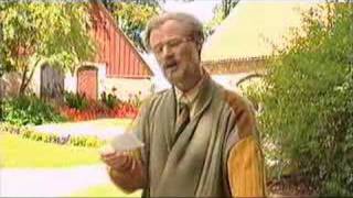 Bertil i trädgården [upl. by Edholm]