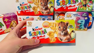 New Collection Natoons 2024 Kinder Surprise ASMR Unboxing [upl. by Cida282]