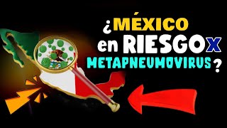 ALERTA ⚠️ ¿MÉXICO EN RIESGO POR METAPNEUMOVIRUS [upl. by Reld]