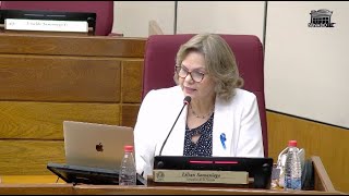 Senadora presenta resumen de observación de la elección presidencial en Uruguay [upl. by Haidebej]