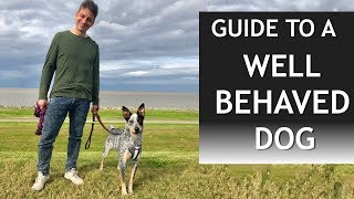 Your Guide to a Well Behaved Dog [upl. by Watt953]