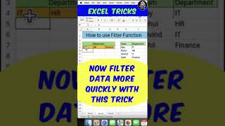 Excel Filter Function Tips You Need to Know shorts excel [upl. by Alikam]