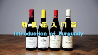 勃艮第产区入门介绍 Introduction of Burgundy [upl. by Ader152]