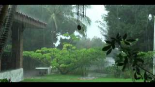 Canto de Amor a Chiapas Armando Duvalierwmv [upl. by Ahsyat]