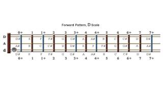 Scales on the Chromatic Dulcimer Forward Pattern D Scale [upl. by Naaman]