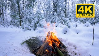 Campfire 4K 10 HOURS 🔥 Campfire in a Winter Ambience with Crackling Fire Sounds amp Burning Logs [upl. by Assilev]