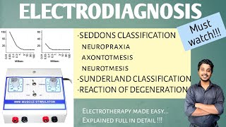 SD Curve part 1  Seddons classification  Sunderland classification  Physiotherapy [upl. by Penhall]