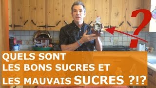 Quels sont les Bons Sucres et les Mauvais SUCRES   Édulcorants  Stevia Miel et Sirop dÉrable [upl. by Alameda]