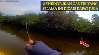 Akhirnya Dapat jackpot ikan mahal harga jutaan rupiah saat mancing dimuara [upl. by Ardis]