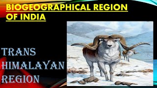 BIOGEOGRAPHICAL ZONES OF INDIA for UPSC  TRANSHIMALAYAN REGION UPSC [upl. by Landahl571]