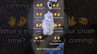 BFF hand codes [upl. by Haikezeh]