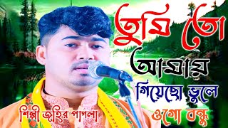 Tumi To Amay Giyecho Vule Ago Bondu Johir Pagola তুমি তো আমায় গিয়েছো ভুলে ও বন্ধু জহির পাগলা [upl. by Gombach]