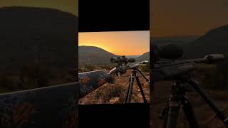 22ARC and 22 Creedmoor were absolutely hammers on planes game in Africa southafrica 224 shorts ￼ [upl. by Odanref]