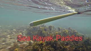 kayak paddle greenland vs regular [upl. by Aeriel]