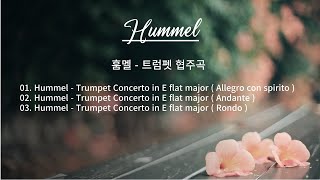 ⏺ Hummel  Trumpet Concerto in E flat major  훔멜  트럼펫 협주곡 [upl. by Lacefield]