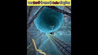 Cells के अंदर के Kinesin Proteins shorts sciencefacts [upl. by Prochoras]