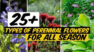 26 Types of Perennial Flowers that Bloom All Season  The Planet of Greens [upl. by Annait]