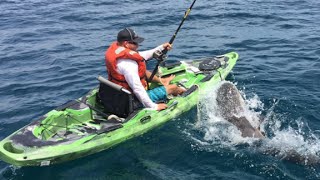 Watch shark flip over kayaker in middle of ocean [upl. by Niarfe]