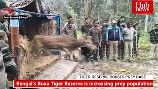 Buxa Tiger Reserve  52 spotted deer relocated to boost biodiversity [upl. by Eldoria]