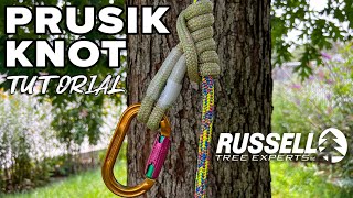 Prusik Knot Tutorial I Russell Tree Experts [upl. by Camile866]